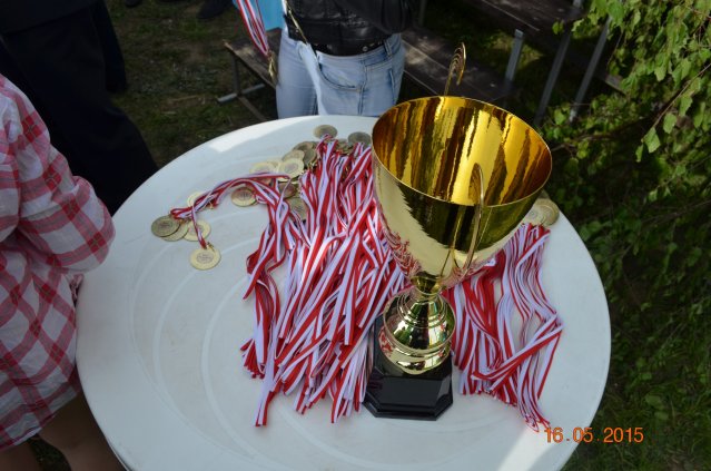 marsz g 2015 133 kopiowanie